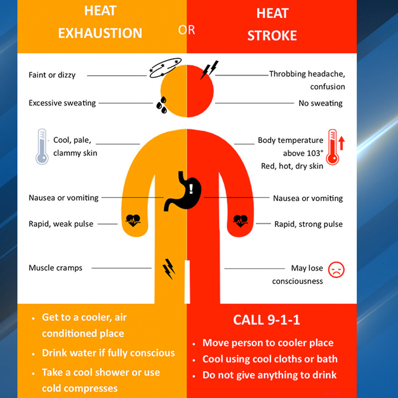 Infographic of Heat Exhaustion and Heat Stroke Symptoms 